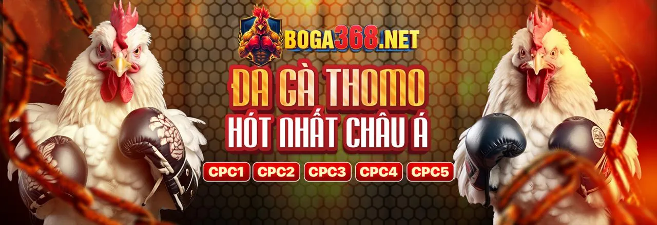 Sòng bạc trực tuyến nhatvip888