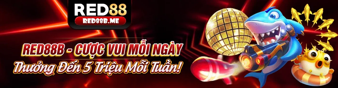 Đội ngũ nhatvip888 đăng nhập chuyên nghiệp và tầm nhìn phát triển